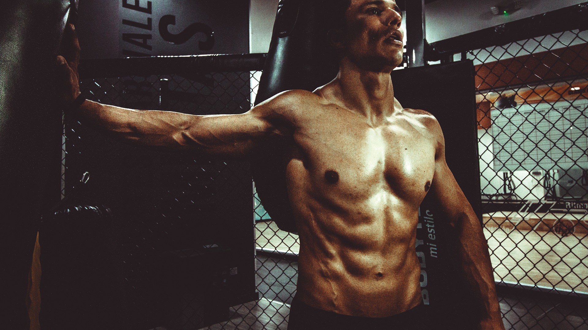 The 3 Principles to Building Lean Muscle – Earn the Body You Deserve